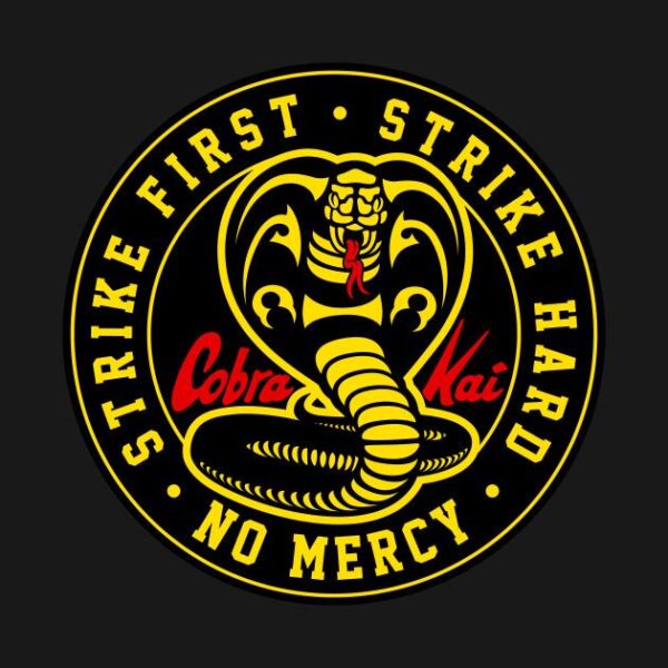 We have launched Cobra Kai Memorabilia - On Point Framing